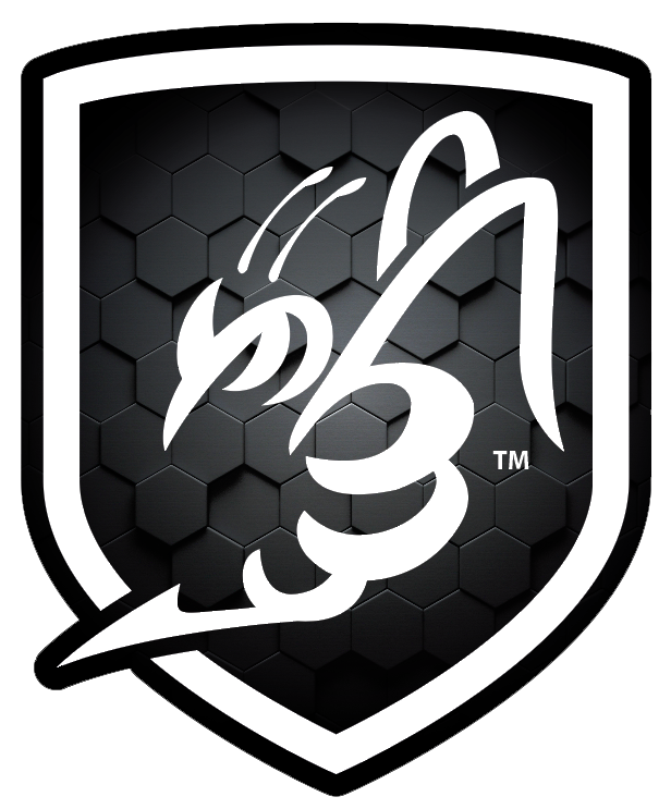 VDEC emblem